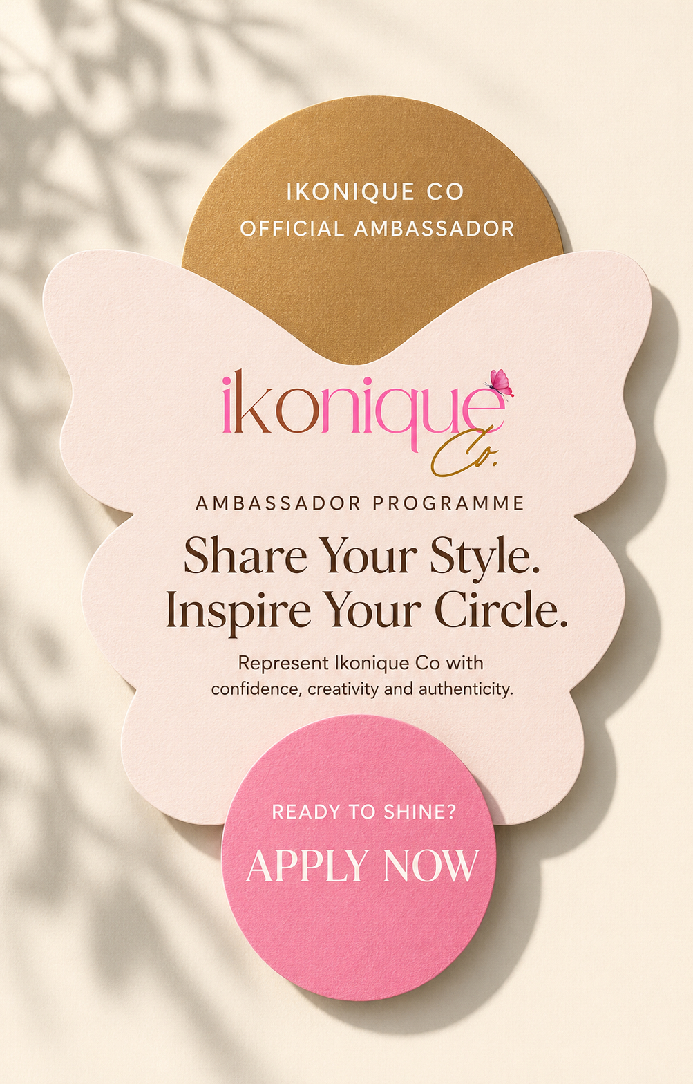 Ambassador Programme
